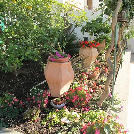 فندق مبيت وإفطار Rosa ماكارسكا